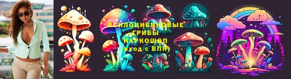 PSILOCYBIN Заволжск