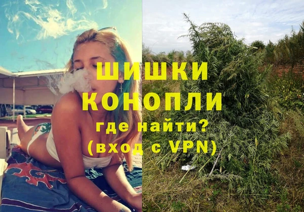 СК Осинники