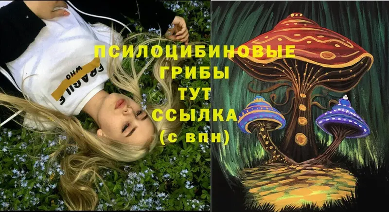 даркнет сайт  Печора  гидра ТОР  Галлюциногенные грибы Psilocybe 