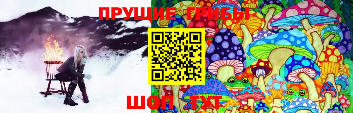 Псилоцибиновые грибы GOLDEN TEACHER  Вход с VPN  Печора 